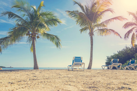 Beautiful tropical beach with coconut palm tree and chairの写真素材