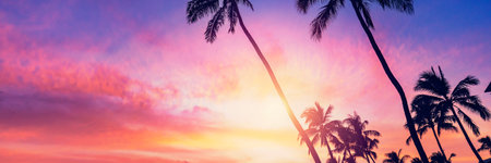 Silhouette palm tree on sunset sky background bannerの写真素材