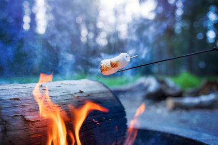 Cooking marshmallows on a bonfire in the forest.の写真素材