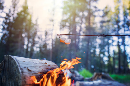 Bonfire with marshmallow on stick in the forest. Camping conceptの写真素材