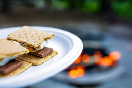 Smores on a white plate in front of a campfire.の写真素材