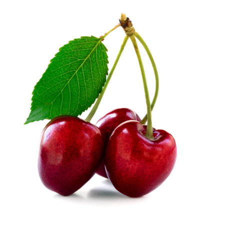 Cherries with leaves isolated on white background.の写真素材
