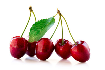 Cherries with leaves isolated on white background.の写真素材