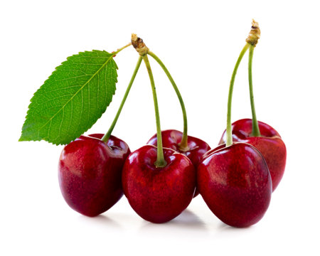 Cherries isolated on white background.の写真素材