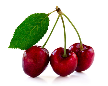 Cherries with leaves isolated on white backgroundの写真素材
