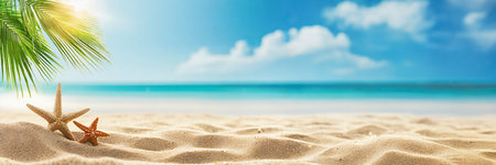 Starfish and palm leaf on the sandy beach. Panoramic bannerの素材