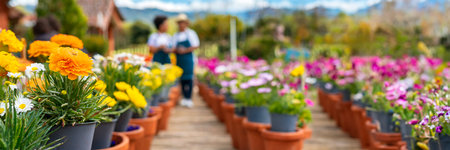 Panoramic view of colorful flowers in pots and woman gardening in backgroundの素材