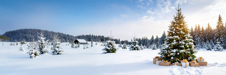 panoramic view of winter landscape with snow covered fir trees and giftsの素材