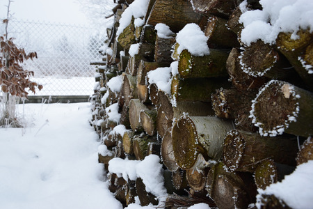 Wood pile