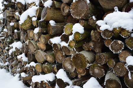 wood pile