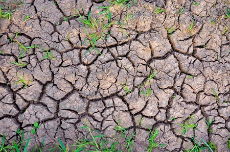 Barren earth. Dry cracked earth background. Cracked mud pattern. Soil In cracks.Creviced...