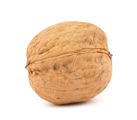 walnut isolated on white backgroundの写真素材