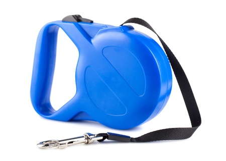 Blue retractable leash for dog isolated on white backgroundの写真素材