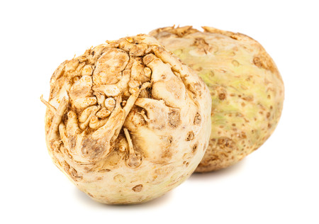 Pair of fresh celery root isolated on white backgroundの写真素材