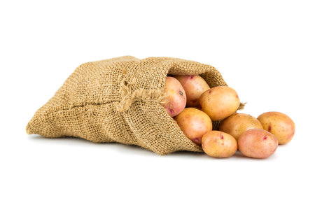 Burlap sack of potatoes isolated on white backgroundの写真素材