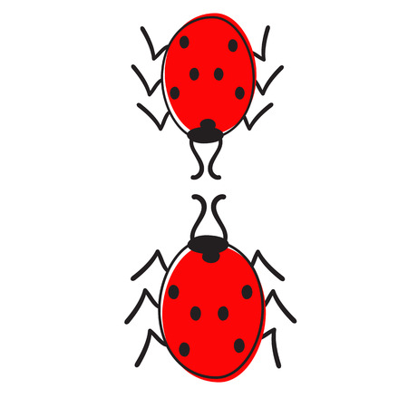 Two ladybugs isolated on whiteのイラスト素材