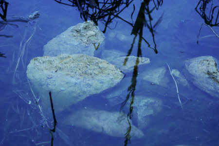 rocks in a pondの写真素材