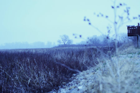 photo of a pond and rocky beachの写真素材
