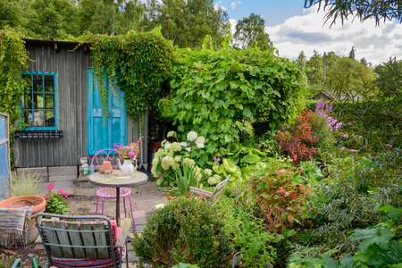 A little table with chairs in a small and very green garden. A wooden shed with turquoise door and window in the background.の写真素材