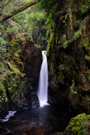 Waterfall through tight passage in green jungle like forest. Stanley Ghyll, Lake District, England.の写真素材