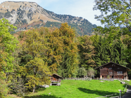 old house in ballenberg swiss open air museumのeditorial素材