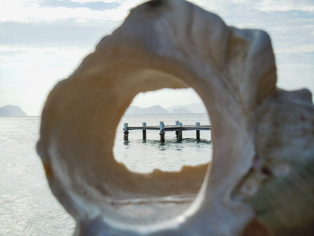 View through a tropical sea shell on the beach philippinesの写真素材