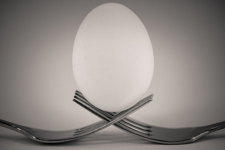 monocrome macro shot of two forks cris-crossing each other, holding a white egg, kitchen
