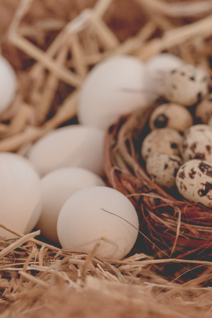 Close up of beautiful traditional easter bird nest decoration on a tableの写真素材