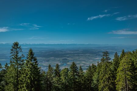 hiking on weissenstein mountain in switzerland, panorama of swiss alps, solothurnの写真素材