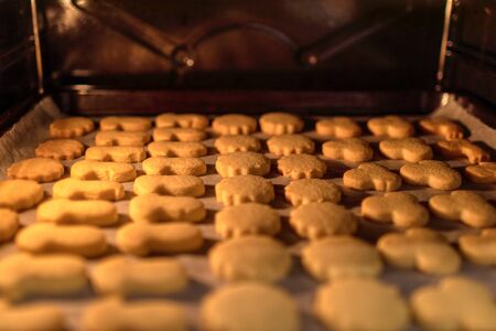 baking handmade christmas cookies in the oven, kitchenの写真素材