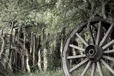 Natureの写真素材