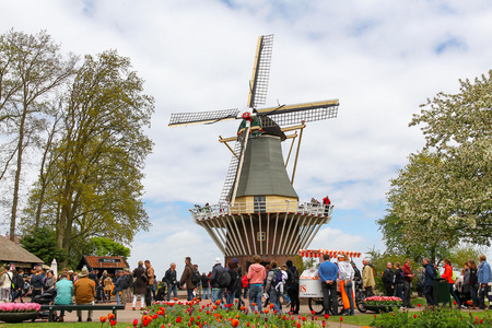 Lisse, The Netherlands - may 10, 2013 - Tourists enjoy the flowers and windmill at the spring flower garden Keukenhof in Lisseのeditorial素材