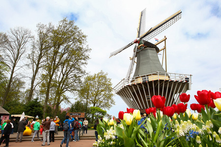 Lisse, The Netherlands - May 10, 2014 -  Tourists enjoy the flowers and windmill at the spring flower garden Keukenhof in Lisse. のeditorial素材