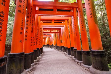 KYOTO, JAPAN - May 06, 2019: Orange Torii gates tunnels at Fushimi Inari-taisha shrine with morning sunlight in springのeditorial素材