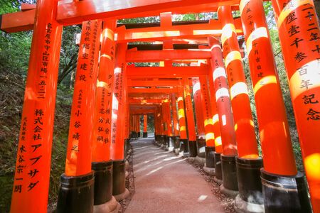 KYOTO, JAPAN - May 06, 2019: Orange Torii gates tunnels at Fushimi Inari-taisha shrine with morning sunlight in springのeditorial素材