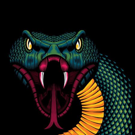 vector poisonous snake colorful tattoo concept