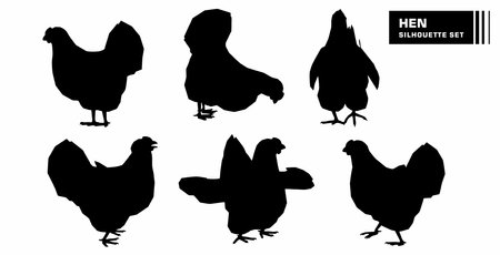 vector set of hen character silhouettesのイラスト素材