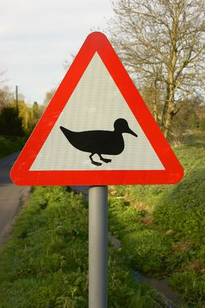 Duck crossing sign
の写真素材