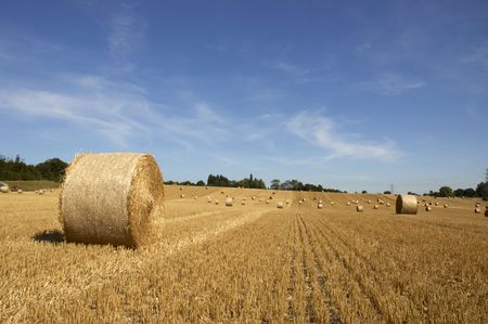 summer landscape with hay bales and deep blue skyscapeの写真素材