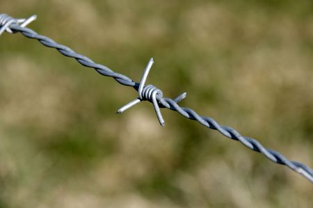 Detail of barbed wire with a green backgroundの写真素材