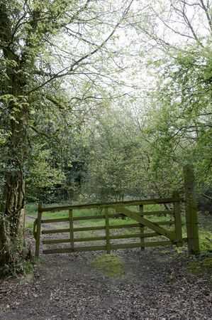A farm gate leading to a field in the countrysideの写真素材