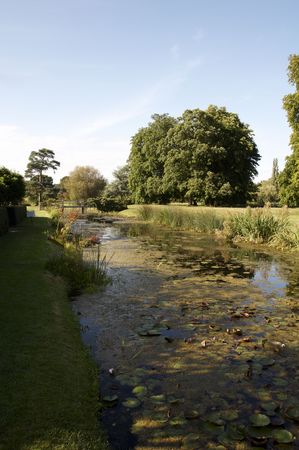 A stream in summer in the countrysideの写真素材