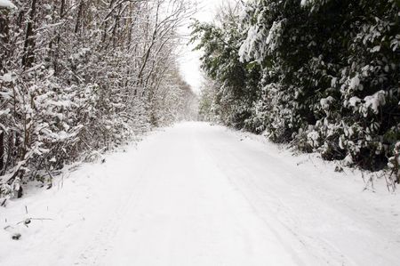 A footpath covered in snow with trees in the backgroundの写真素材