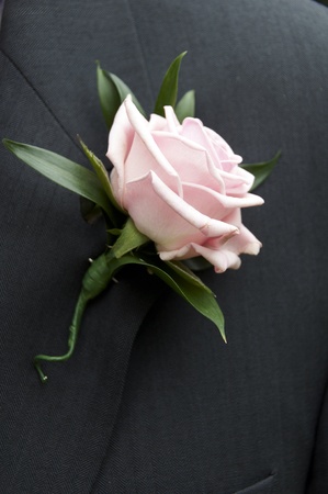 A rose button hole flower for a weddingの写真素材
