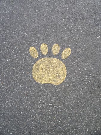 paw print signの写真素材