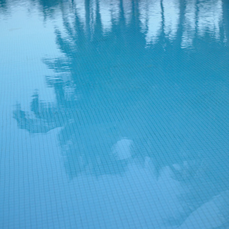 Palm tree reflection in a blue poolの写真素材