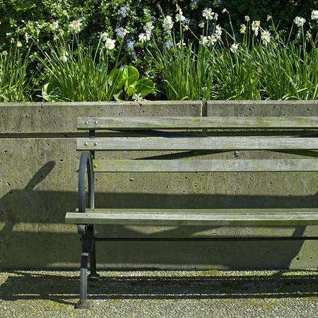 Wooden park bench in a gardenの写真素材