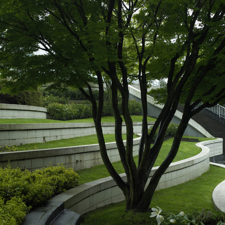 Concrete and grass levels of an urban gardenの写真素材