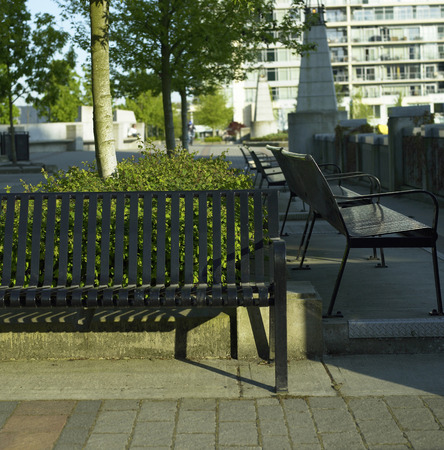 Black metal park benches near a concrete path, hedge and tree in an urban settingの写真素材
