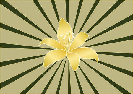 Yellow Lilyの写真素材